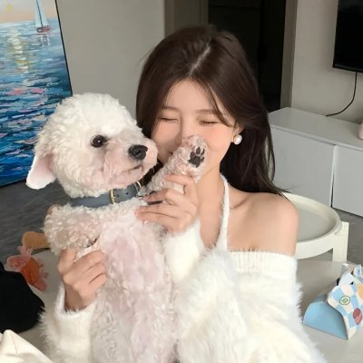 杨光的夏天 海报